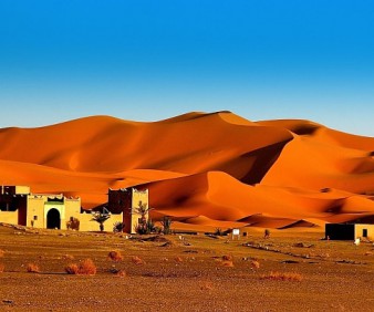 Merzouga oasis